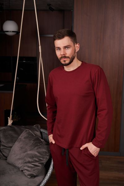 Лонгслив мужской COTTON BASIC бордо 0643 фото