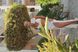 Комплект женский на лето лен топ + юбка с цветком CUBA молочный 1101 фото 4